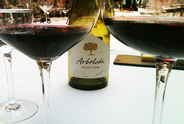 Arboleda Pinot Noir Home - Arboleda vinhos chilenos