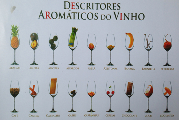 Descritores Aromáticos do Vinho Home - Descritores Aromáticos do Vinho
