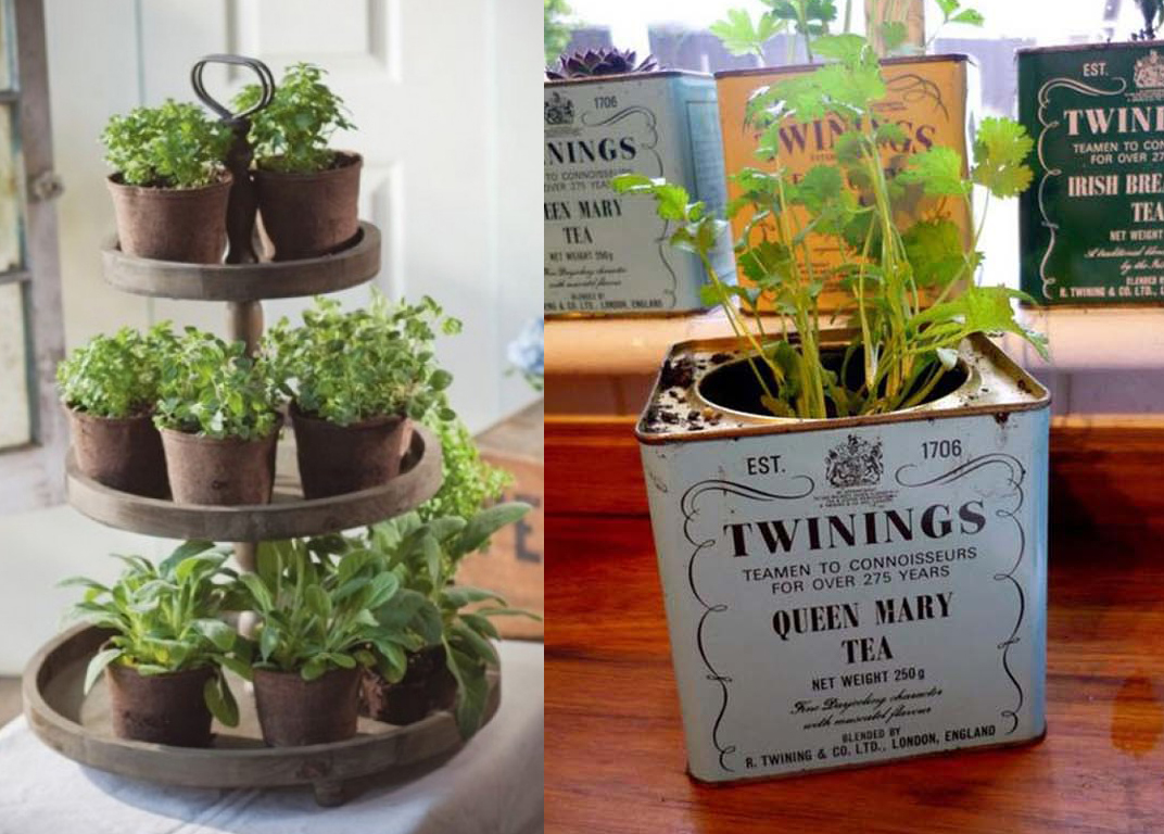 Horta em Casa 1 - Horta em casa –boas ideias com toque especial na decoração