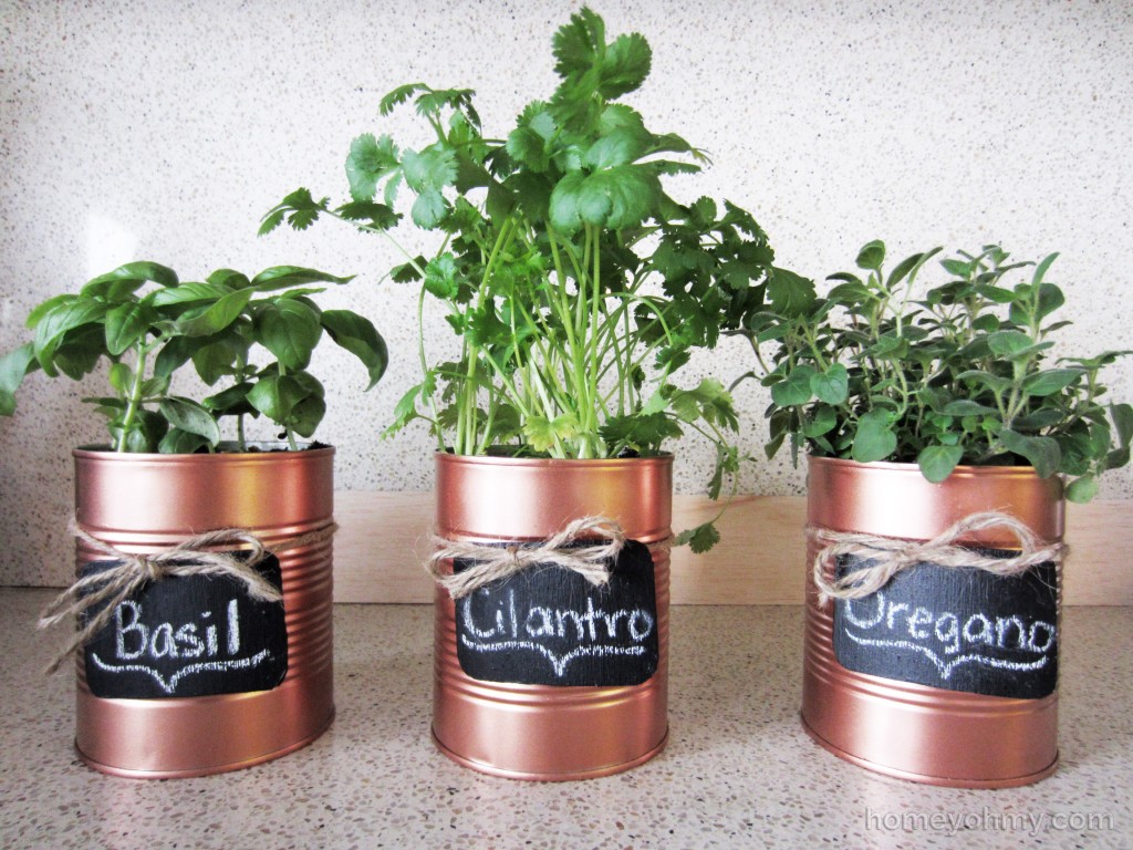 Horta em casa 1 - Horta em casa –boas ideias com toque especial na decoração