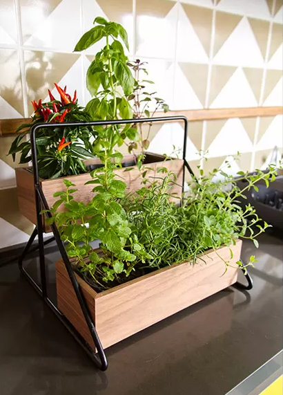 Horta em casa 10 - Horta em casa –boas ideias com toque especial na decoração