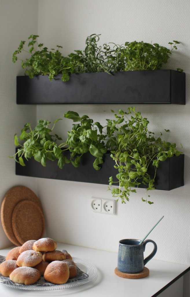Horta em casa 6 - Horta em casa –boas ideias com toque especial na decoração