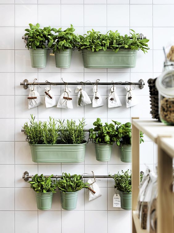 Horta em casa - Horta em casa –boas ideias com toque especial na decoração