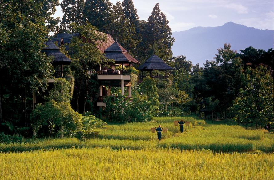 Four Seasons Descobertas Culinárias Tailandia - Four Seasons Descobertas Culinárias