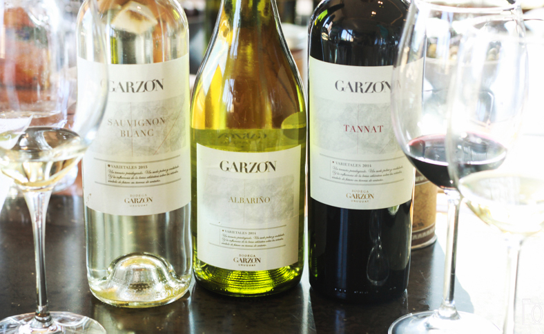 Bodega Garzon Vinhos - Bodega Garzón