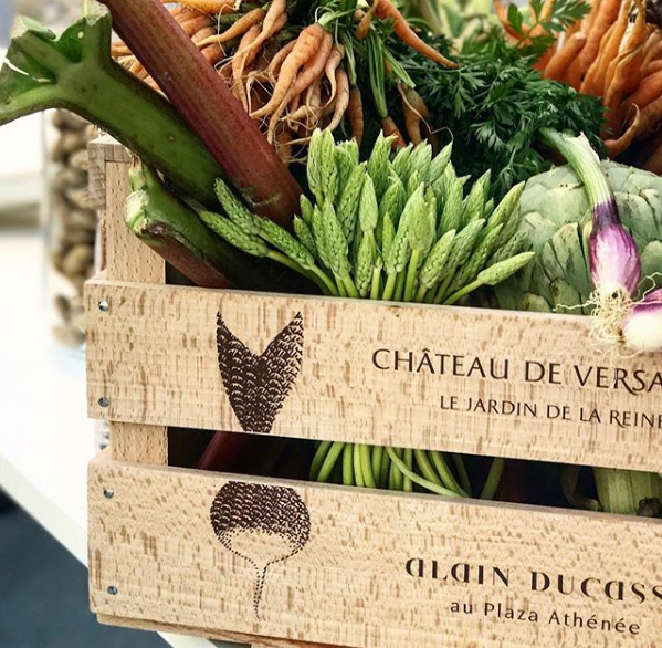 Dieta a Base de Plantas Alain Ducasse - Dieta à Base de Plantas