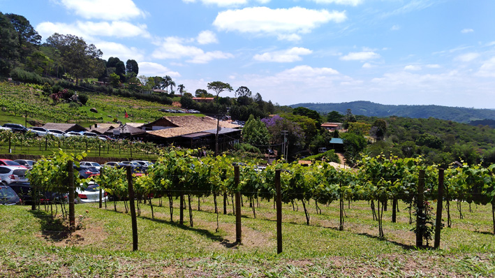 Quinta do Olivardo - Quinta do Olivardo