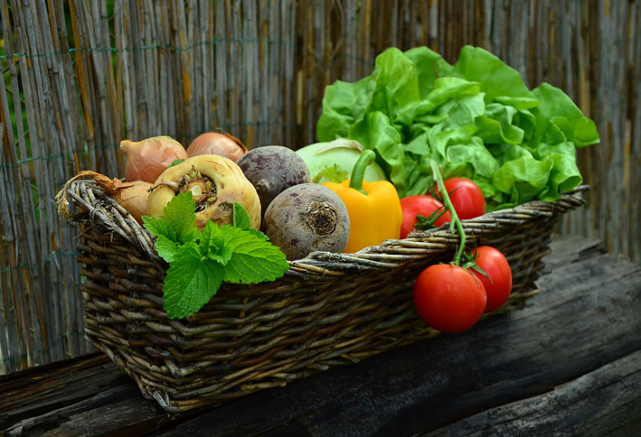 Receitas de Verão vegetais - Receitas para o verão