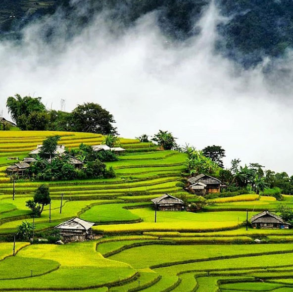 Vietnam campos de arroz em Ha Giang - Cochinchine