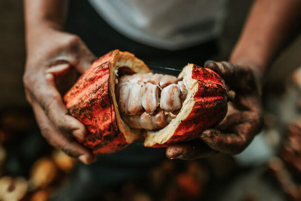 Chocolat Festival