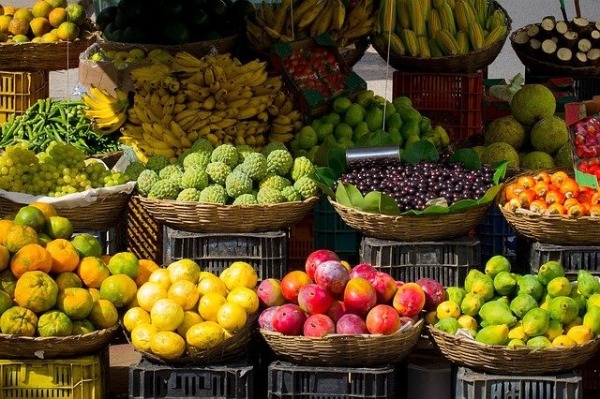 Dia Mundial do Veganismo