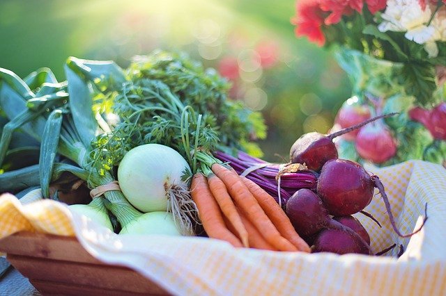 Semana da Culinária Vegana