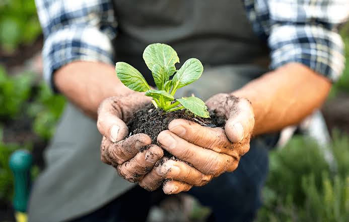 Por um sistema alimentar que regenere