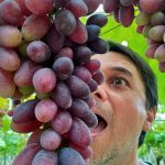 Vindima Literaria comendo uva 150x150 - Lombo de Porco Assado