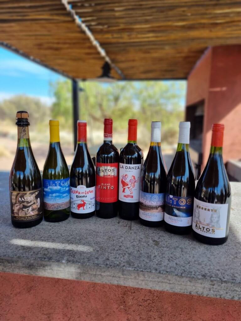 Dicas de Mendoza _Alto Las Hormigas _vinhos degustados