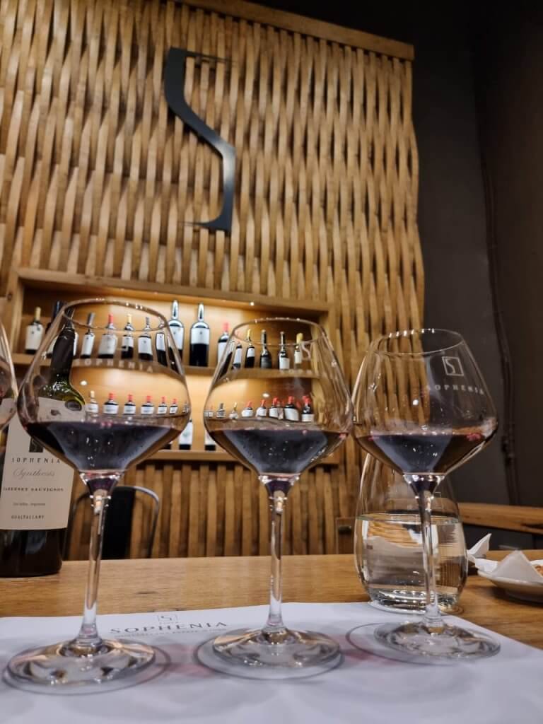 Dicas de Mendoza _Sophenia_vinhos degustação