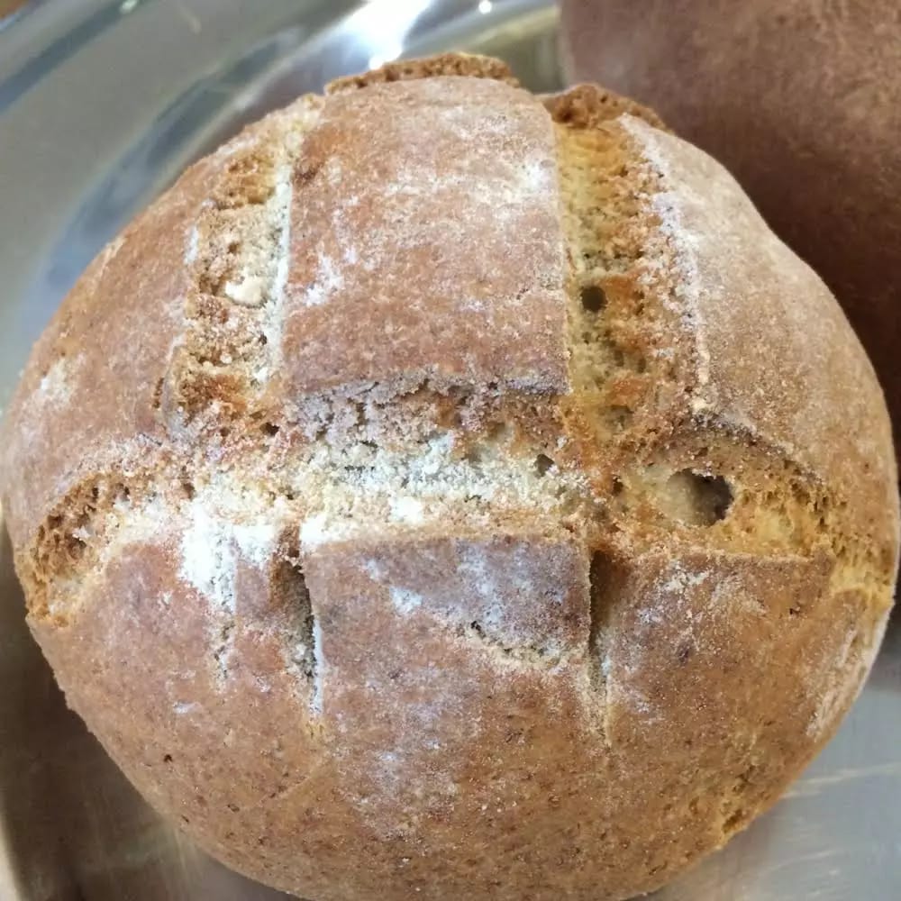 Receitas sem Glúten e sem Lactose Como fazer receitas sem gluten - Receitas sem Glúten e sem Lactose